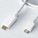 Pacroban DisplayPort (Source) to HDMI (Display) Cable, 4K 60Hz/FPS, CL3 Rated in-Wall Safe, 10-Foot White Cord