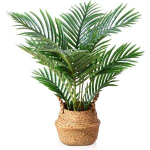 LOMANTO Fake Majesty Palm Plant 2Ft Artificial Plants for Home Decor Indoor Small Faux Trees in Pot Fake Tropical Plants for Housewarming Gift 1Pack