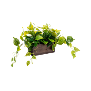 MyGift Vibrant Lifelike Artificial Plant Pothos Leafy Vine Greenery in Burnt Brown Solid Wood Rectangular Planter Box