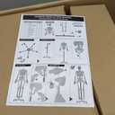 breesky Human Skeleton Model for Anatomy- Life Size Medical Human Skeleton Model with Nervous System 70.8 in with Rolling Stand for Medical Study and Display 3 Posters