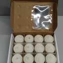 Ivory Unscented 15 Hours Votive Candles Pack of 12