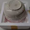 2 Pack Ceramic Ramen Noodle Bowl, 27 OZ Big Ramen Bowl with Lid, Japanese Hand-Painted Ceramic Tableware, Durable Floral Soup Bowl for Noodles, Porridge, Rice, Dishwasher Safe(Pink, Beige)