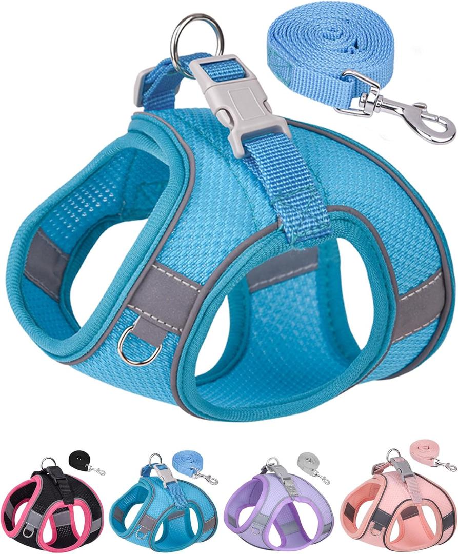 Dog Harness for Small Medium Sized Dog, Step in Puppy Harness and Leash Set Training Walking (Blue, S)