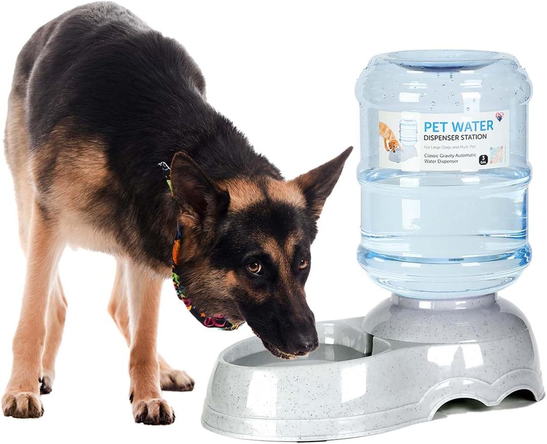 3 Gallon Dog Water Dispenser for Large Dogs, Automatic Gravity Pet Water Station, Large Capacity Pet Drinking for Lage Dogs and Multi-Pet, Anti-Slip Base, BPA-Free