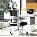 Ergonomic Office Chair for Long Hours, Adjustable Padded Lumbar Support for Lower Back Relief, 330 lb Capacity, Comfortable Computer Desk Chair for Home Office, Work & Study, Medium