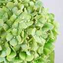 Waipfaru Hydrangea Artificial Flowers, 4PCS Real Touch Flowers, 20" Faux Hydrangea Flowers, Latex Real Touch Hydrangeas, Fake Flowers for Home Decor Party Bouquet Wedding Decoration, Green