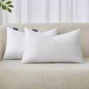 MIULEE 12x24 Inches Pillow Inserts Pack of 2, Decorative Throw Pillow Inserts for Couch