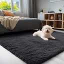 OLANLY 3x5 Machine Washable Small Bedside Rug, Soft Fluffy Shaggy Rugs for Living Room, Bedroom, Indoor Floor Carpet for Kids Girls and Boys, Preppy Dorms, Nursery, Home Decor Aesthetic, Black
