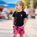 Cute Casual Outfits for Boys, Black Short Sleeve T-Shirt and Hawaiian Shorts Boys' Flamingo Print Clothing Sets (Black) Black, 5T