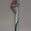 Nylon Grill Brush and Scraper, 18.7 Inch BBQ Cleaning Tool with No Wire Bristles, Heat-Resistant Safe Grill Brush for Outdoor Gas Charcoal Grills, Non-Scratch Grill Cleaner Accessories