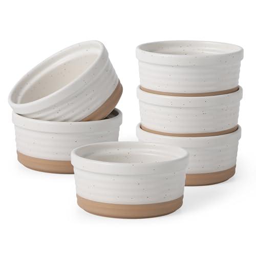 Frewinky Ceramic Ramekins 10oz,Creme Brulee Ramekins & Souffle Dishes for Oven,Small Baking-Dishes for Pudding,Lava Cakes,Serving Dip, Custard, Ice Cream,set of 5