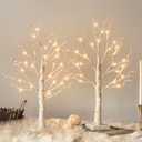 Vanthylit White Birch Tree with LED Lights - Set of 2, LED Tabletop Tree with Timer, Christmas Decorations Lighted Tree for Indoor Mantel Home Decor (2FT, 24LED)