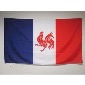 Walloon French Movement Flag 2' x 3' for a pole - Rattachism movement flags 60 x 90 cm - Banner 2x3 ft with hole - AZ FLAG