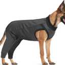 LelePet Dog Recovery Suit for Rear Legs to Stop Licking Hind Legs Abdomen Wounds, Dog Onesie for Surgery Female Male,Dog Pants to Prevent Licking for Small to Large Dogs, Cone Alternative (XS-3XL) (2XL, Gray)