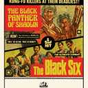 The Black Panther of Shaolin + The Black Six  Format: Blu-ray