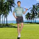 Rouen Mens Polo Shirts Short Sleeve Dry Fit Lightweight Performance Casual Athletic Striped Print Golf Shirts for Men (S)