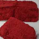 MIULEE Set of 2 Non Slip Shaggy Bathroom Rugs Extra Thick Soft Bath Mats Plush Microfiber Absorbent Water for Tub Shower Machine Washable (Red, 16x24 inches)