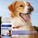 Probiotics Supplement for Dogs Digestive Enzymes with Prebiotics for Gut Health, Diarrhea & Bowel Support, Immune Booster, Itch & Allergy Relief, No BB Date