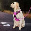 IVY&LANE No Pull Dog Harness for Medium Dogs,Dog Vest Harness with Leash,Safety Belt and Storage Strap, Fully Adjustable Harness,360 Reflective Strip,Soft Handle (Fuchsia Pink,M)