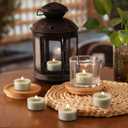 Mint Breeze Scented Tea Lights Candles  Bright Green  6 Hour Burn  100% Palm Wax  Scented Tealight Candles for Mornings Office Refresh, Outdoor Use  48 Pack Scent Votive Candle