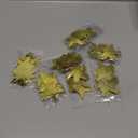 Patelai Glitter Star Garland Banner Christmas Decor 130 Feet Star Hanging Bunting Banner Twinkle Backdrop for Homecoming Classroom Wedding Birthday Halloween Party Supplies(Gold)