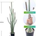 Nafresh Tall UV Resistant Faux Cactus Plant，60in Realistic Texture Tall Fake Plant, Artificial Cactus Large with Black Pot Indoor Outdoor for Home Office Living Room Bedroom Foyer Porch Decor.