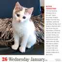 365 Cats Page-A-Day Calendar 2022: The World's Favorite Cat Calendar