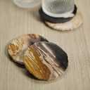 Petrified Wood Novelty Coasters, il Lovers, Gifts for Fossil Lovers