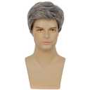 Kaneles Mens Grey Short Wig Synthetic Replacement Costume Halloween Soft Layered Natural Hair Male Wigs (Gray)