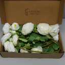 6 Pcs 27.5inch Ranunculus Artificial Flowers 18 Head White Faux Silk Ranunculus Bulk Fake Wedding Filler Flowers for Home, Wdding, Party, Centerpieces, Bridal Shower Decorations & Arrangements