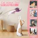 3-in-1 Interactive Bird Simulation Cat Wand Toys Set, Cat Hanging Door Toy, Include Detachable 5PCS Replacements Feather Toys and 2 Types Door Hanging String