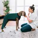 Kuoser Dog Recovery Suit, Anti Licking Dogs Rear Leg Sleeve, Abdominal Dog Surgical Suit with Dog Pants Cover Protect Wounds, Dogs Elbow Protector Soft Pet Surgery Onesie Cone Alternative, Green, XL