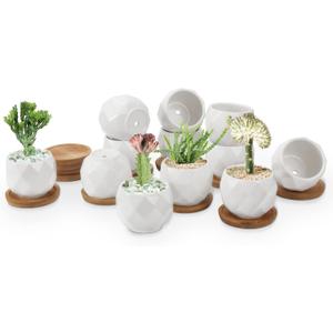 ZOUTOG Succulent Plant Pot 12 Pack, 2.5 inch Square Pattern Ceramic Planters with Bamboo Tray, Small Succulent Pots Indoor, White Office Desk Decor (Seeds Plants Not Included)