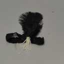 BLACK HALLOWEEEN HEADBAND