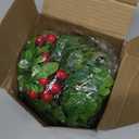 Mistletoe Christmas Decoration Set of 2 Mistletoe Decoration with Red Berry Green Leaf Hanging Christmas Mistletoe Christmas Balls Party Decoration for Home Office Xmas Tree 13 Inch Decor Holiday