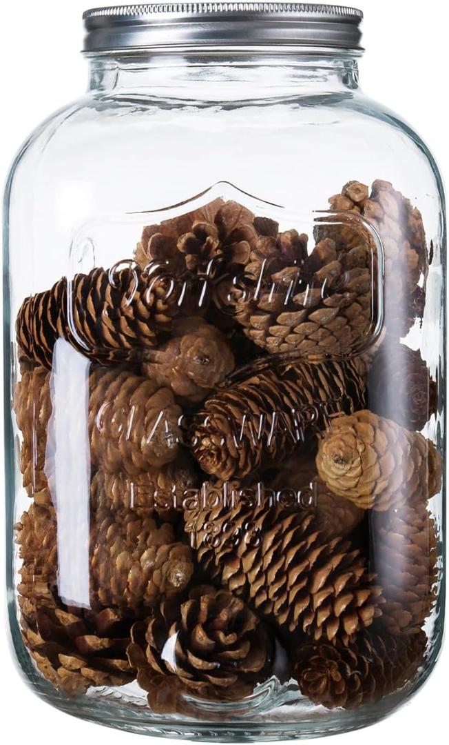 2 Gallon Mason Jar with Lid, Large Glass Jar with Wide Mouth, Big Glass Mason Jar for Kitchen, Extra Large Canning Jars, 8 Liter Glass Containers for Food Storage Candy & Kitchen Essentials