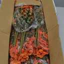 Gamity Bundles Artificial Flowers UV Resistant Outdoor Plants No Fade Faux Plastic Shrubs Fake Silk Flowers Window Box Garden Porch Home Decoration(Light Autumn Orange)