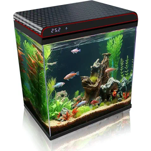 Aquariums, Betta Fish Tank, 10 Gallon