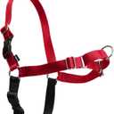 PetSafe Easy Walk No-Pull Dog Harness - Ultimate Harness to Help Stop Pulling - Pull-Free Walks - Take Control & Teach Better Leash Manners - Patented Martingale Loop Design - Red, Small/Medium