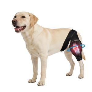 Noorace Dog Knee Brace for ACL CCL Support, Hind Leg Mobility Support, XS