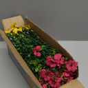 Powbrace Artificial Flowers Outdoor Fake Plants, Faux Silk Flowers Plastic Plants for Outdoors Indoor Outside Front Porch Hanging Planter Window Box Garden Home Spring Decoration, 14 Pack (Mix) (14 Bundles(Upgrade))