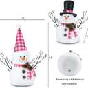 2 Pack Christmas Table Decorations, 14" Lighted Plush Snowmen FigurinesPastel Christmas Ornaments, Light Up Snowman Holiday Present, Battery Operated Xmas Gifts Indoor Tabletop Ornaments