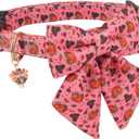PTDECOR Thanksgiving Dog Collar with Bowtie Adjustable Pink Turkey Collars Thanksgiving Collars for Small Dogs Pets (Small) (Neck 10"-14", Width 0.6")