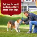 Nutrish Real Beef & Pumpkin Recipe Whole Health Blend Premium Pat Wet Dog Food, 13 oz. Can, 12 Count, Packaging May Vary (Rachael Ray)