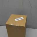 Halloween Raven On Skull Decoration Gothic Crow On Skull Statue, Bird Perching On Skeleton Figurine