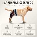 Dog Knee Brace for Luxating Patella, Dog Leg Brace Front, Dog ACL Brace Hind Leg with 6 Metal Strips to Protect Knee Joint, Provide Stable Support and Relief Pain, Help Resume Normal Activities XL