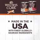 Wellness CORE Digestive Health Chicken & Beef Pate Variety Pack Grain Free Wet Dog Food, 13 Ounce Can (Pack of 6) (EXP 04/07/28)