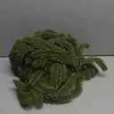 Premium 30% Fuller 2Pack 6 Ft Artificial Norfolk Pine Garland, Real Touch Winter Pine Garland, for Staircase, Table, Mantle, Wall, Indoor, Outdoor Christmas Decorations, Flower Arranging