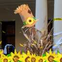 Norme Thanksgiving Scarecrow Hat Tree Topper Fall Christmas Tree Topper for Autumn Harvest Farmhouse Indoor Home Decorations Party Supplies Thanksgiving Country Holiday Accent