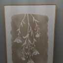 CHDITB Neutral Botanical Wall Art, Large Frame Farmhouse Begie Flower Decor, 3 Pieces